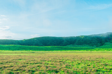 Fototapeta premium 早朝の草千里ヶ浜 熊本 阿蘇