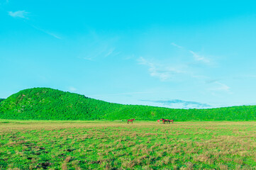 早朝の草千里ヶ浜　熊本 阿蘇