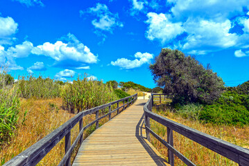 Fototapeta premium Wanderweg am Ponta da Piedade in Lagos (Algarve, Portugal)
