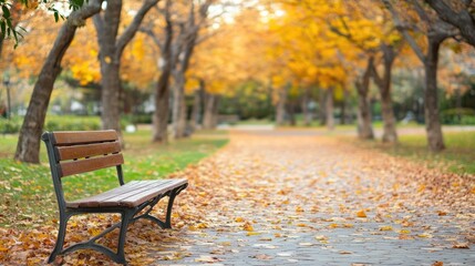 A serene park setting showcases stunning autumn colors as trees shed their leaves. An empty bench offers a perfect spot for relaxation along a charming cobblestone path