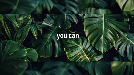 The phrase you can is prominently displayed against a backdrop of vibrant green leaves, creating an uplifting and motivational atmosphere in nature