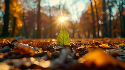 A Single Green Leaf Stands Out Amidst a Bed of Autumn Leaves in a Sunlit Forest