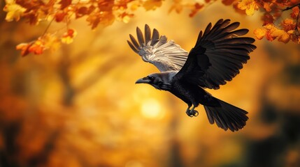 Fototapeta premium A crow in flight against the background of autumn holidays.. AI generation