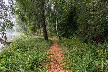 fog landscape on the shore of the lake, blurred silhouettes of trees, bushes and plants, fog in the morning