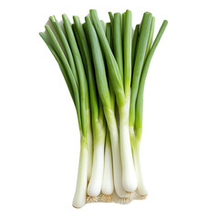Obraz premium fresh green onions