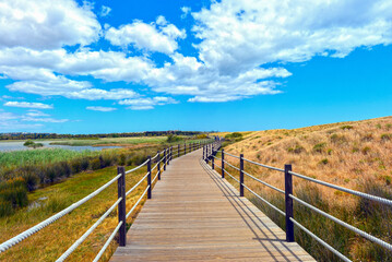 Obraz premium Wanderweg am Lagoa dos Salgados in Pêra/Algarve (Portugal)