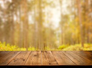 A natural, autumnal background. Empty wooden surface, table, wooden. The backdrop. Against the background of an autumn forest. The sun's rays. Bokeh. Summer, autumn day. Copy space