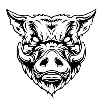 recommend clip art: Boar | Wild Boar | Boar Head | Wild Animal | Wild Pigs | Wild Boar Face | Wildlife | Forest Pigs | Original Illustration | Vector and Clipart | Cutfile and Stencil