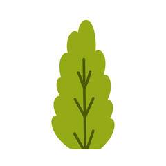 Bush isolated on a white background. Vector hand-drawn illustration in a flat style. Perfect for cards, decorations, logo, various designs.