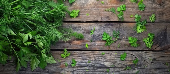 Fresh green dill and parsley herbs on a rustic wooden table Kitchen seasoning Salad. Copy space image. Place for adding text and design