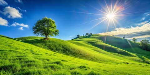 Obraz premium Rolling green hills under bright sun with copyspace, showcasing the beauty of nature on a sunny day