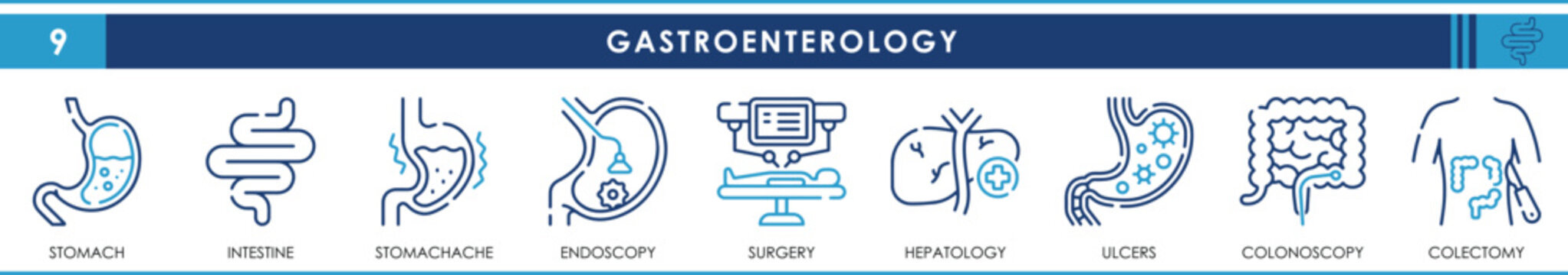 A set of line icons related to Gastroenterology. Stomach, intestine, stomachache, endoscopy, surgery, hepatology, ulcers, colonoscopy and colectomy. Vector outline icons set.