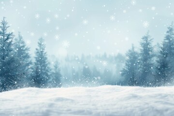 Snowy Winter Forest Scene