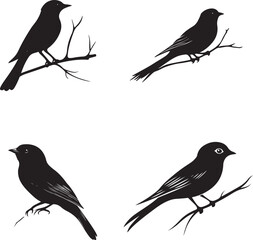 Silhouette Bird Designs