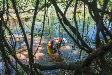 Men working in collecting soil for reaserch about water quality