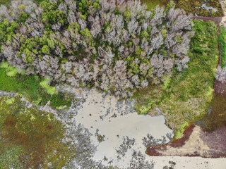 Machine cleans macrophytes in lake flooded by excessive rain