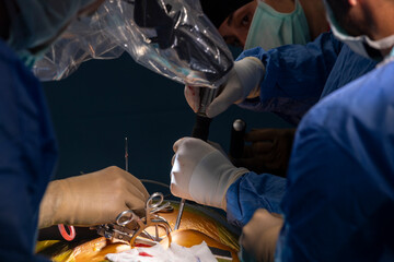 Surgeons who perform spinal cord surgery. Close up surgery team operating in modern hospital