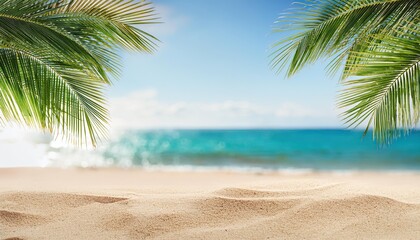 seascape with palm branches and clean sand in the foreground