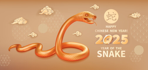 Obraz premium Snake is a symbol of the 2025 Chinese New Year. Realistic 3d figure of golden Snake, clouds and decorations on a beige background. Vector illustration of Zodiac Sign. Chinese translation Snake