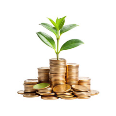 Pile of coins with a growing plant on top symbolizing financial growth isolated on transparent background