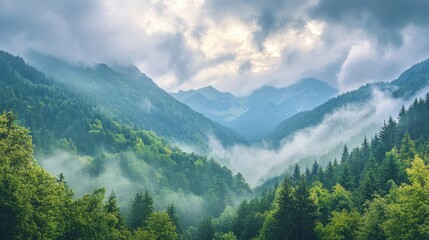 Fototapeta premium Misty Mountain Landscape - Serenity and Tranquility in Nature - A breathtaking view of a mountain range shrouded in mist, showcasing the tranquility of nature. Rolling hills, lush forests, and soft cl