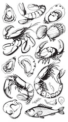 Obraz premium Seafood vector illustrations. Hand drawn line sea fishes, oysters, lobster, squid, octopus, crabs, prawns, fish fillet vector