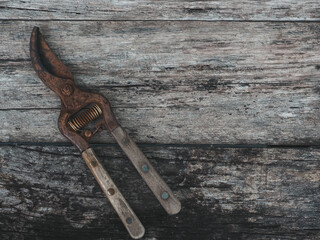 Rusty pruning tools on old wood for vintage style background