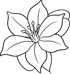 Fun floral hand-drawn illustrations for children's coloring fun
