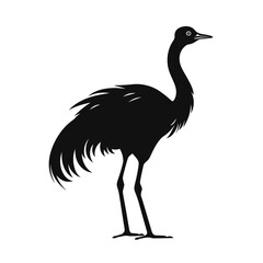 Obraz premium black silhouette of an emu isolated on white background