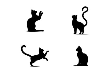 Silhouette of cats.