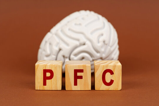 Exploring the prefrontal cortex with wooden blocks labeled PFC in front of a brain model on a warm brown background