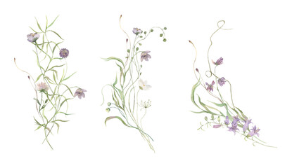 Watercolor Midsummer Field bouquets collection with hand painted delicate leaves, flowers. Romantic floral arrangements perfect for wedding greeting cards, invitation.