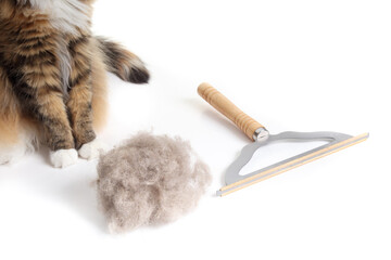 Cat with hair pile and carpet brush. Partial cat body siting next to metal rake and lint ball accumulation from brushing the carpet or sofa. Cleaning gadget known as comb or shaver. Selective focus.