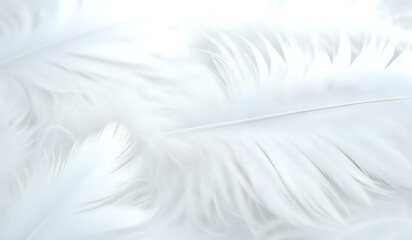 Obraz premium Close up of a white colored feather background texture illustration. AI Generated