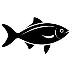 fish isolated on white