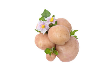 potatoes with leaves and flower isolated on white background