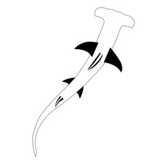 hammerhead shark icon, sea animal in silhouette isolated on white background, simple flat design