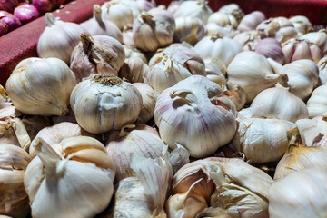 Pile of Garlic for sale at market