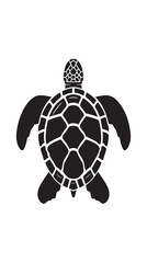 Fototapeta premium Turtle marine animal icon. Sea turtle silhouette. vector illustration 