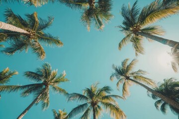 A stunning view of palm trees reaching up towards a bright blue sky. This tropical scene evokes feelings of relaxation and vacation. Perfect for travel themes. Generative AI