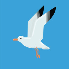 Flying seagull isolated on blue background. Vector illustration.