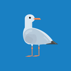 Standing Seagull isolated on blue background. Vector illustration.