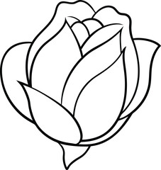 A beautiful coloring book for children filled with hand drawn floral illustrations
