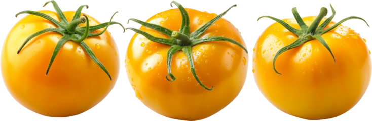 Yellow ripe tomato isolated