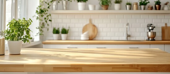 Bright Modern Kitchen with Wooden Countertop and Potted Plants in Sunlit Interior