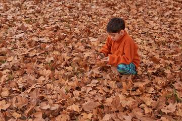 latin boy squatting on a mattress of golden autumn leaves in a park with orange jumper