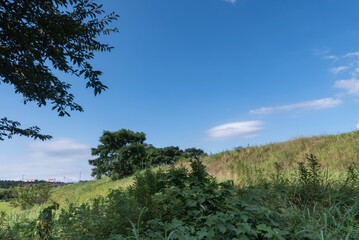 Obraz premium 夏の青空 土堤の風景