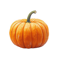 Obraz premium Illustration of a pumpkin isolated on a transparent background. PNG file.