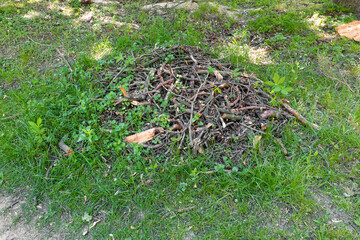 A pile of brushwood for a fire. Campfire site in a grassy meadow