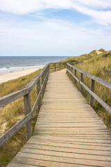 Fototapeta premium Dünenwanderweg am roten Cliff in Wenningstedt auf Sylt